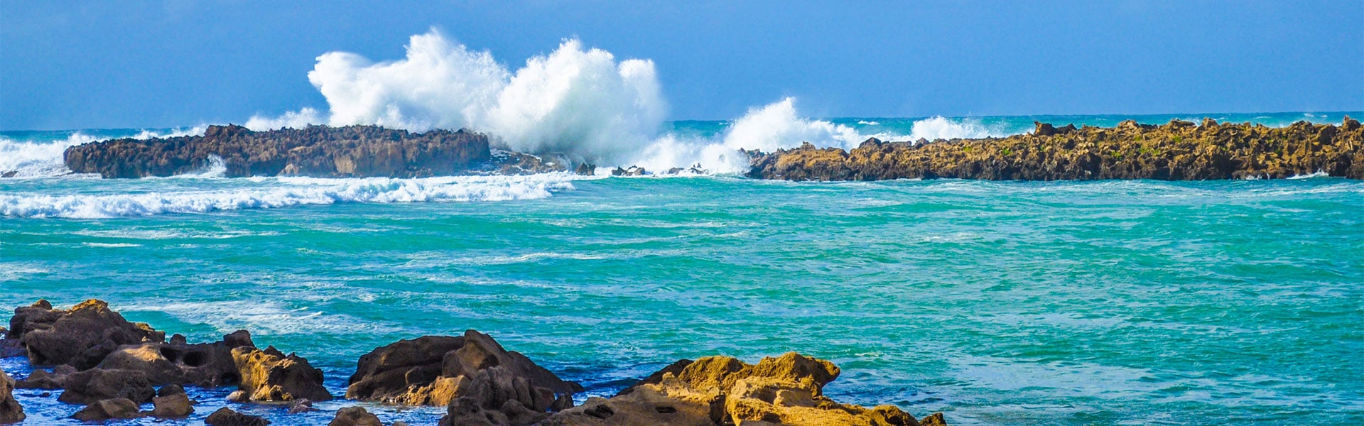 Allianz Travel  | Mexico